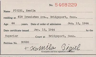 p. 46