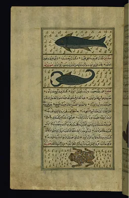 Two Fish Called Sayut and Saqnin and a Frog