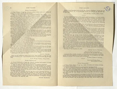 p. 35