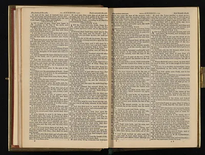 p. 12
