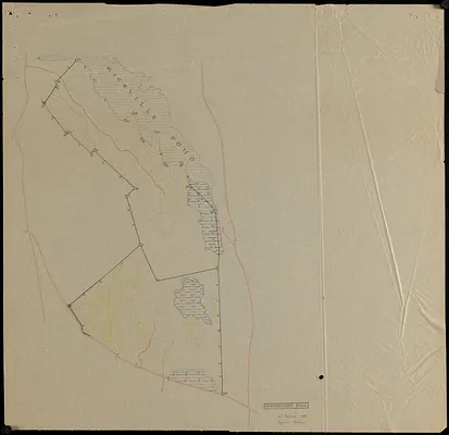 Physical features, including topography of Tom Swamp North