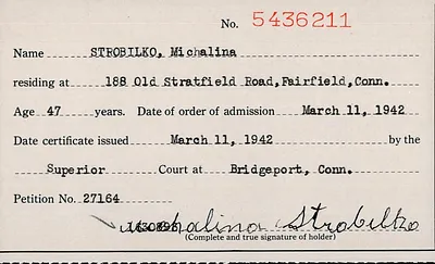 p. 41