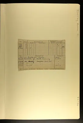 p. 19