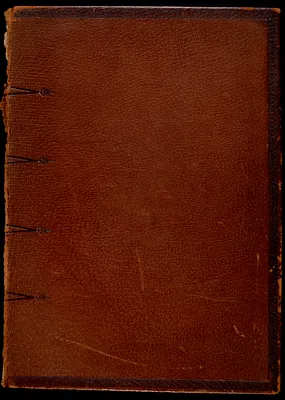Bible