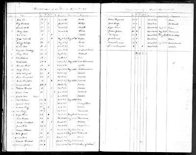 p. 29