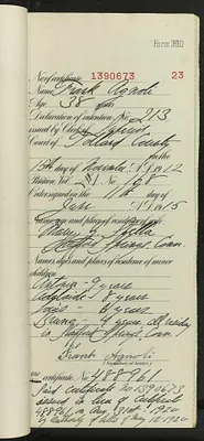 p. 24