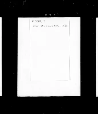 p. 20
