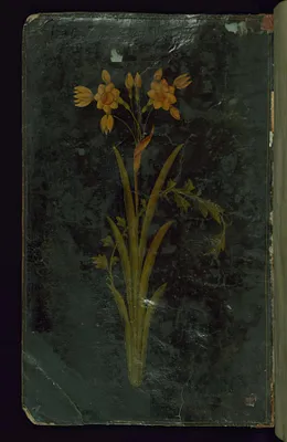 p. 3