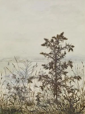 p. 4