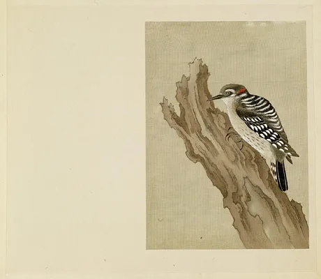 Leaf from Album Depicting Small Birds