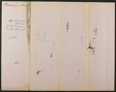 p. 51