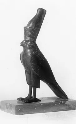 Horus Falcon
