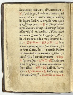 p. 46