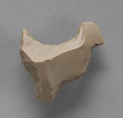Flint in the Form of a Bird