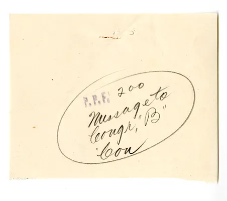 Letter from Mercy Bailey to President Harry S. Truman