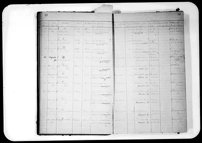 p. 29