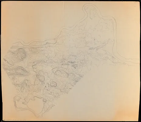 Topographic map of Brighton and Allston