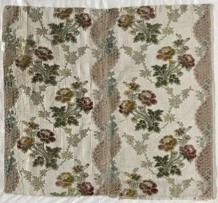 Velvet Fragment