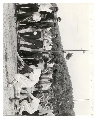 p. 29