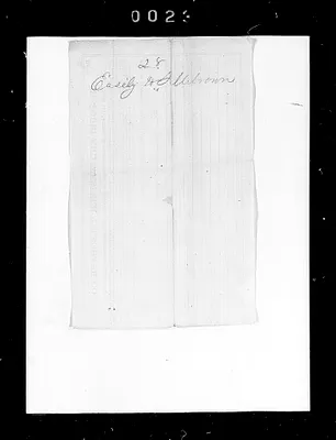 p. 33