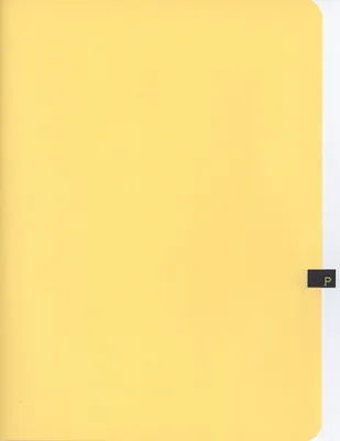 p. 41