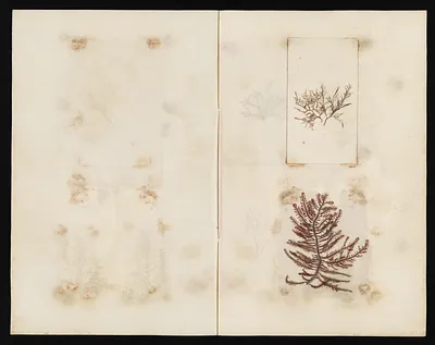 p. 19