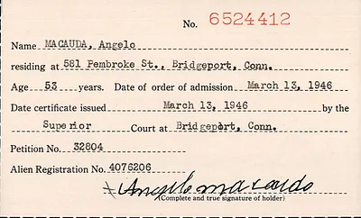p. 13