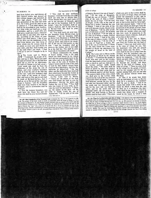 p. 15