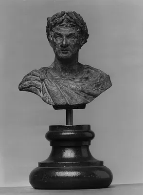 Head and Bust of Man