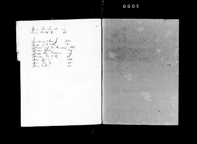 p. 31