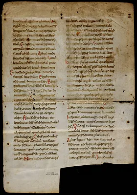 Fragments from a Beneventan homiliary