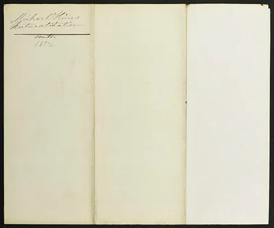 p. 51