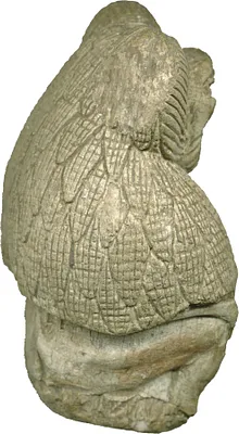 p. 3