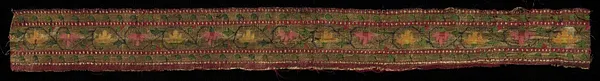 Strip of Border of Sari