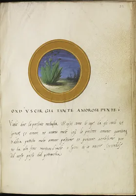 Leaf from Emblem Book