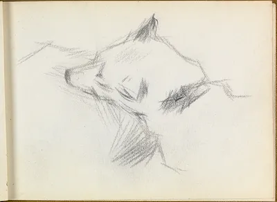 p. 10