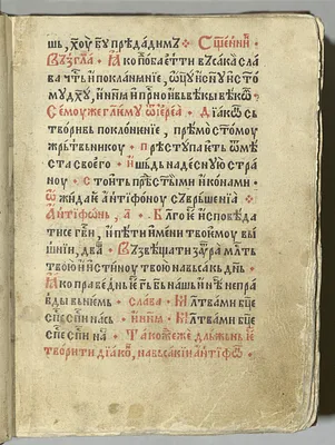 p. 19