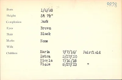 p. 33