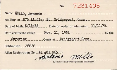 p. 24
