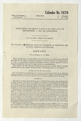 p. 13