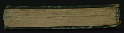 p. 6