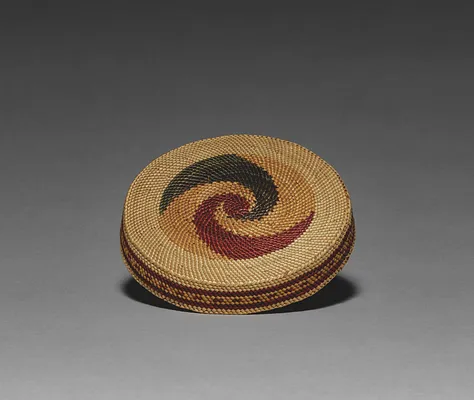 Cover for a Bowl