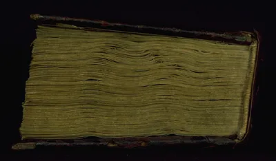 p. 7