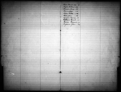 p. 20