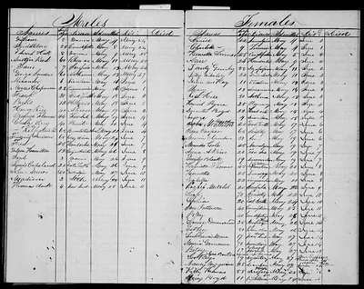 p. 25