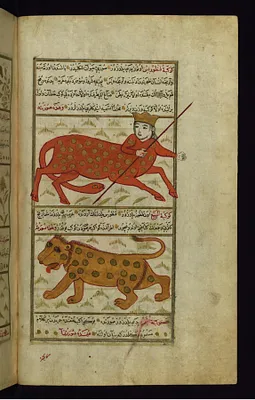 Centaurus and Lupus