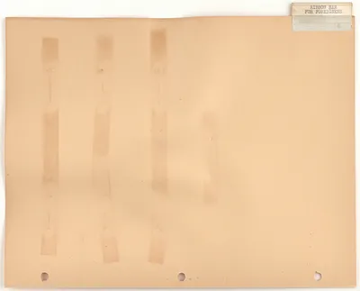 p. 53