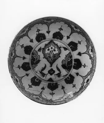 Dish