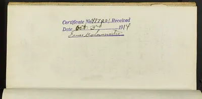 p. 44