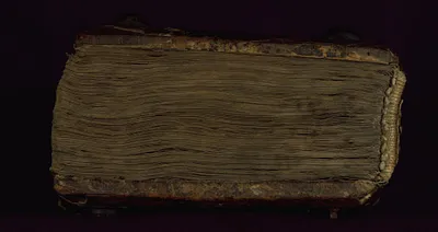 p. 5